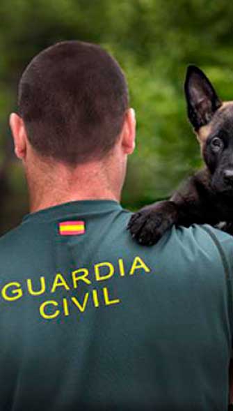 Simulacro ortografía, gramática, conocimientos, inglés y psicotécnicos convocatoria Guardia Civil 2022